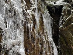 -龙苍沟森林公园