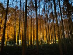 -河南省黄河迎宾馆