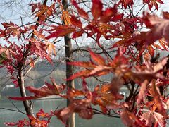 -南京医科大学第二附属医院(姜家园院区)