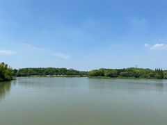 -昆山城市生态森林公园