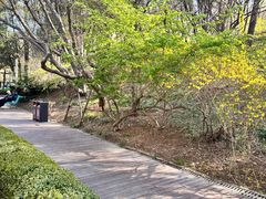 -大连植物园