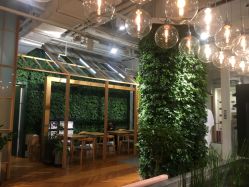 -悦诗风吟innisfree