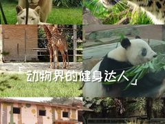 -宠物星动物医院·眼科·异宠·猫科(江南大道总院)