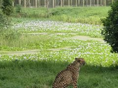-上海野生动物园