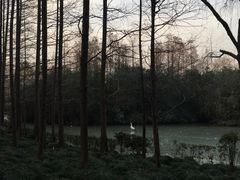 -黄兴公园