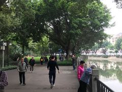 -晓港公园