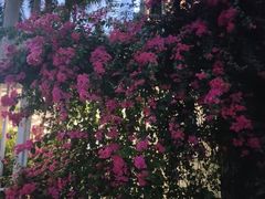 -深圳海景嘉途酒店(东翼楼)