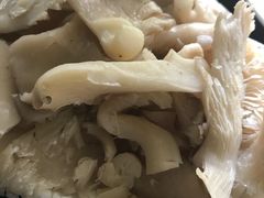 平菇-楚湘苑(商品街大道店)