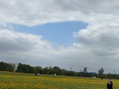 -长广溪湿地公园