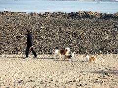 -青岛第二海水浴场
