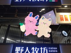 门面-野人牧坊Gelato(天津南开大悦城店)