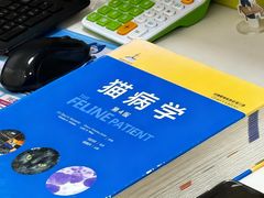 -美美宠物诊疗中心·异宠·骨科(滨江东信分院)