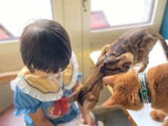 -猫小院猫主题餐厅(南锣旗舰店)