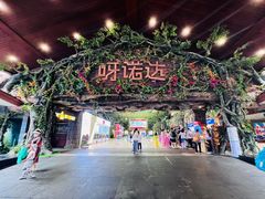 -呀诺达热带雨林
