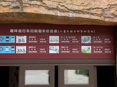 -合肥滨湖国家森林公园