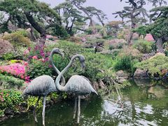 -罗红摄影艺术馆