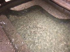 -悦隆庄温泉度假酒店