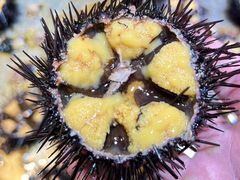 -鱼市酒店(威海水产批发市场店)