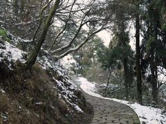 -莫干山风景区