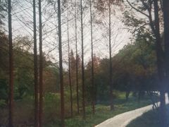 -重庆彩云湖湿地公园