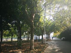 -上海第二工业大学(金海路校区)