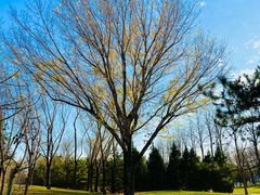 -北坞公园