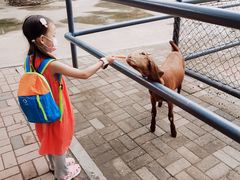 -长白岛森林公园