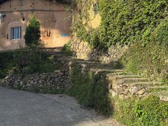 -杨家堂村