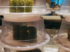 -新一番三文鱼寿司(大东海店)