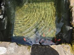 -寂照庵