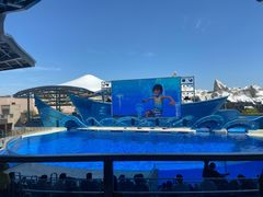 -上海海昌海洋公园