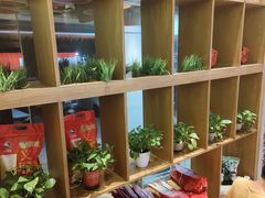 -湘村小灶·地道长沙菜·本地人优选(万家丽路店)