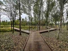-东郊湿地公园