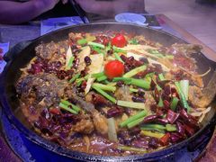 -老板恋上鱼(恒隆广场店)