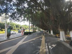 -胡里山炮台