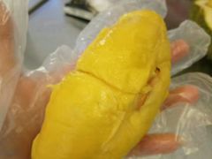 -都念榴莲·城市榴莲