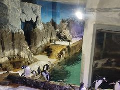 -成都浩海立方海洋公园