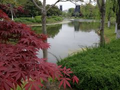 -上海鲜花港