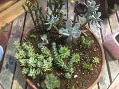 -84那年咖啡馆(李沧万达店)
