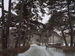 -长春市南湖公园