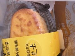 岩烧脆皮芝士-津乐园(中山路店)