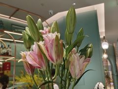 -南堂馆·新川菜(春熙路店)