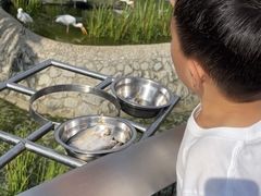 -新加坡飞禽公园