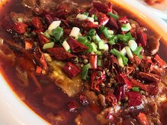 -鑫巴蜀小镇 · 水煮鱼专研店(玉桥店)