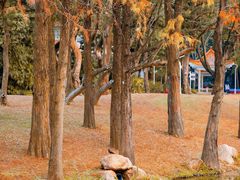 -人民公园(罗湖区)