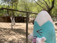 -青藏高原野生动物园