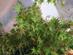 -中海环宇荟
