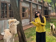 -南戴河国际娱乐中心