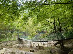 -宁波五龙潭景区