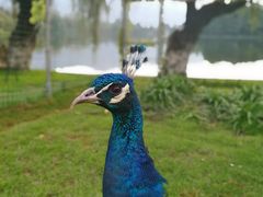 -云南滇池花园国际大酒店温泉